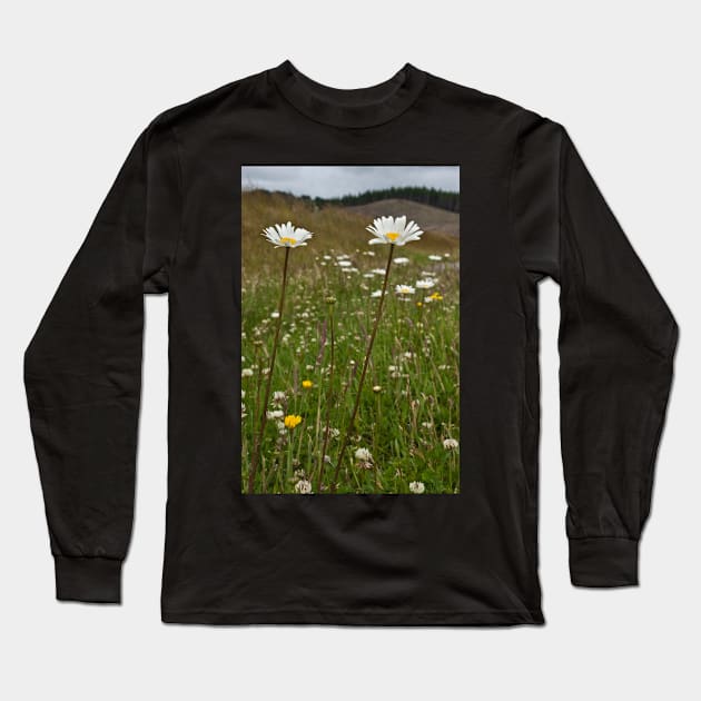 Roadside Flowers Long Sleeve T-Shirt by fotoWerner
